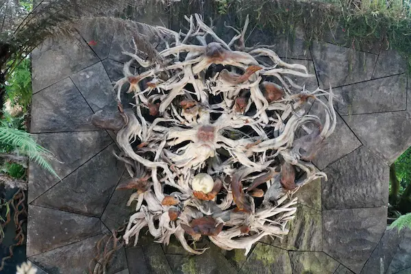 Root sculpture